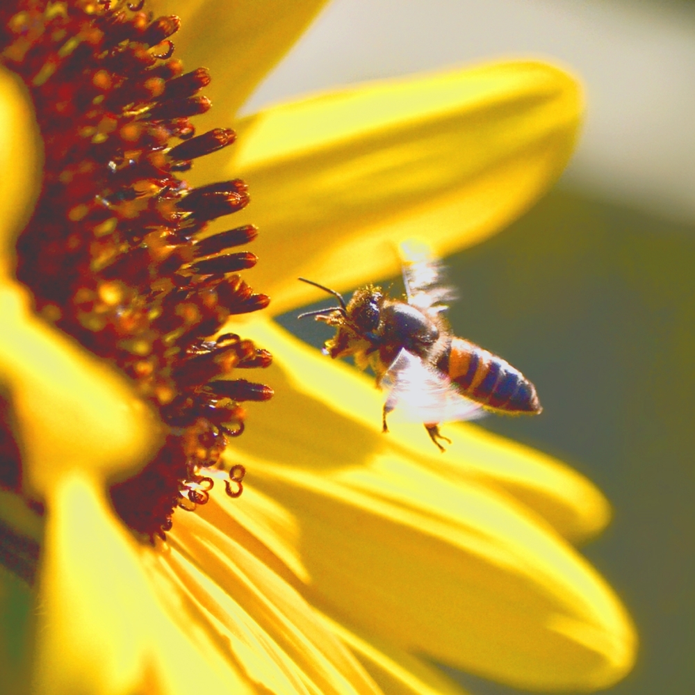 Meet your Posher, Katharzyz